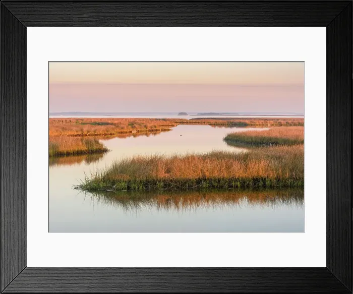 Framed Print : Salt water marshes at dawn, St. Marks NWR, Florida, USA Framed Print : Salt water marshes at dawn, St. Marks NWR, Florida, USA
