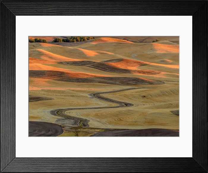 Framed Print : Palouse landscape near sunset in late summer, Steptoe Butte State Park, Washington, USA Framed Print : Palouse landscape near sunset in late summer, Steptoe Butte State Park, Washington, USA