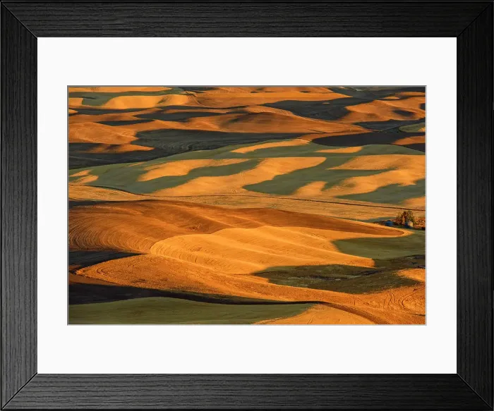Framed Print : Mowing and harvest patterns in the Palouse landscape at dawn in late summer, Steptoe Butte State Park, Washington, USA Framed Print : Mowing and harvest patterns in the Palouse landscape at dawn in late summer, Steptoe Butte State Park, Washington, USA