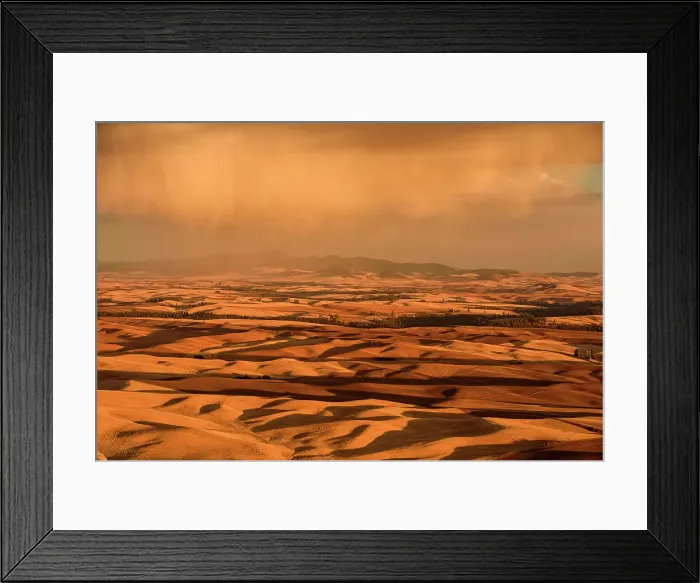 Framed Print : Palouse landscape in late summer from a high viewpoint, Steptoe Butte State Park, Washington, USA Framed Print : Palouse landscape in late summer from a high viewpoint, Steptoe Butte State Park, Washington, USA