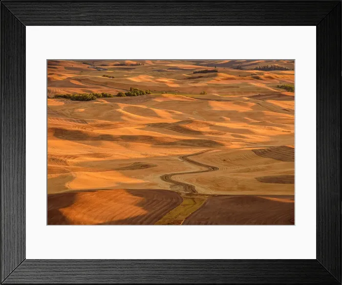 Framed Print : Palouse landscape in late summer from a high viewpoint, Steptoe Butte State Park, Washington, USA Framed Print : Palouse landscape in late summer from a high viewpoint, Steptoe Butte State Park, Washington, USA