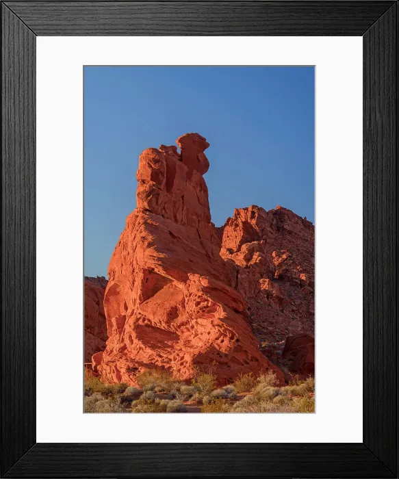 Framed Print : Evening light on sandstone spires in the Seven Sisters area, Valley of Fire State Park, Nevada, USA