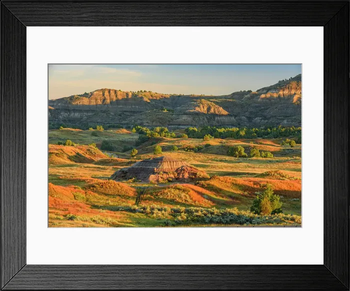 Framed Print : The badlands in late summer, from Buck Hill, Theodore Roosevelt NP (South Unit), North Dakota, USA Framed Print : The badlands in late summer, from Buck Hill, Theodore Roosevelt NP (South Unit), North Dakota, USA