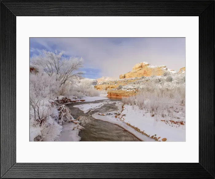 Framed Print : Frosted cottonwoods and the Fremont River in the Fremont Canyon, Capitol Reef National Park, Utah, USA Framed Print : Frosted cottonwoods and the Fremont River in the Fremont Canyon, Capitol Reef National Park, Utah, USA