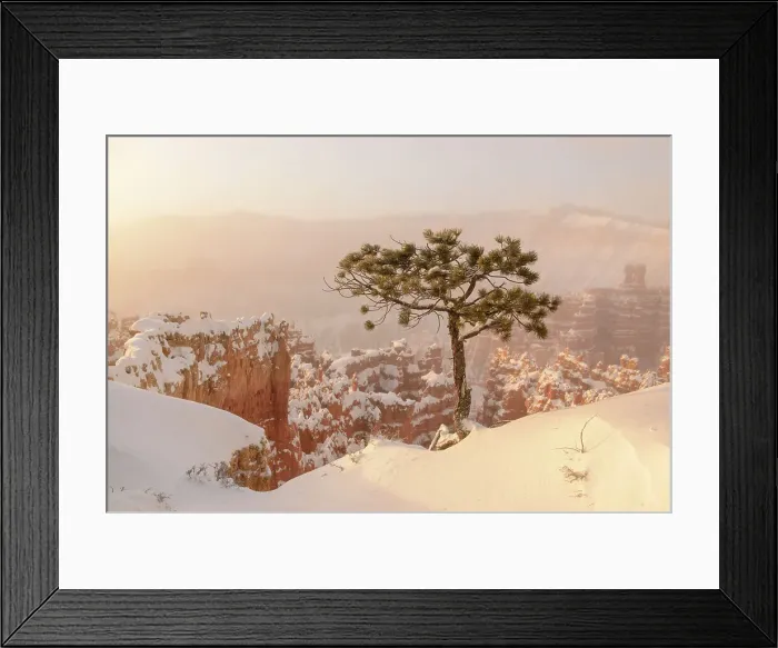 Framed Print : Hoodoos with winter snow and ice fog at dawn, from Sunset Point, Bryce Canyon National Park, Utah, USA Framed Print : Hoodoos with winter snow and ice fog at dawn, from Sunset Point, Bryce Canyon National Park, Utah, USA