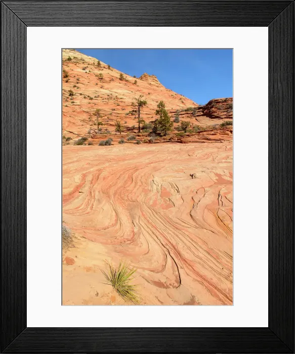 Framed Print : Eroded sandstones in the Beehive area of Zion Park, Zion National Park, Utah, USA Framed Print : Eroded sandstones in the Beehive area of Zion Park, Zion National Park, Utah, USA