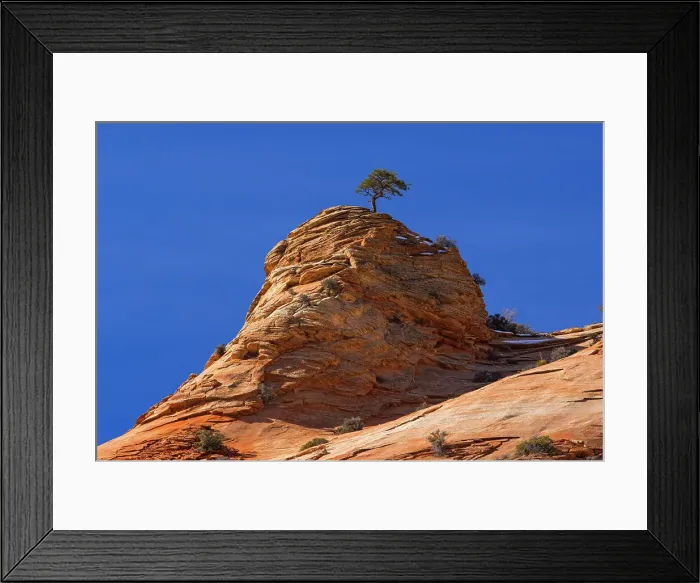 Framed Print : Eroded sandstones in the Beehive area of Zion Park, Zion National Park, Utah, USA Framed Print : Eroded sandstones in the Beehive area of Zion Park, Zion National Park, Utah, USA
