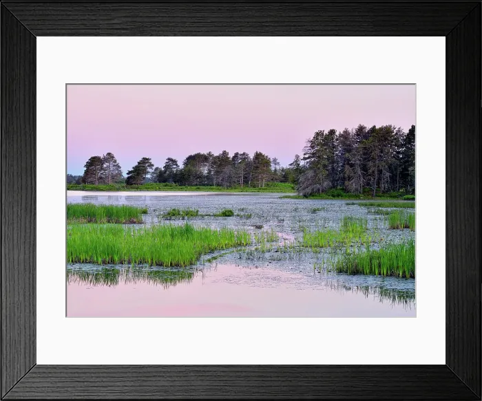 Framed Print : Seney wetlands at dawn in early summer, Seney NWR, Michigan, USA