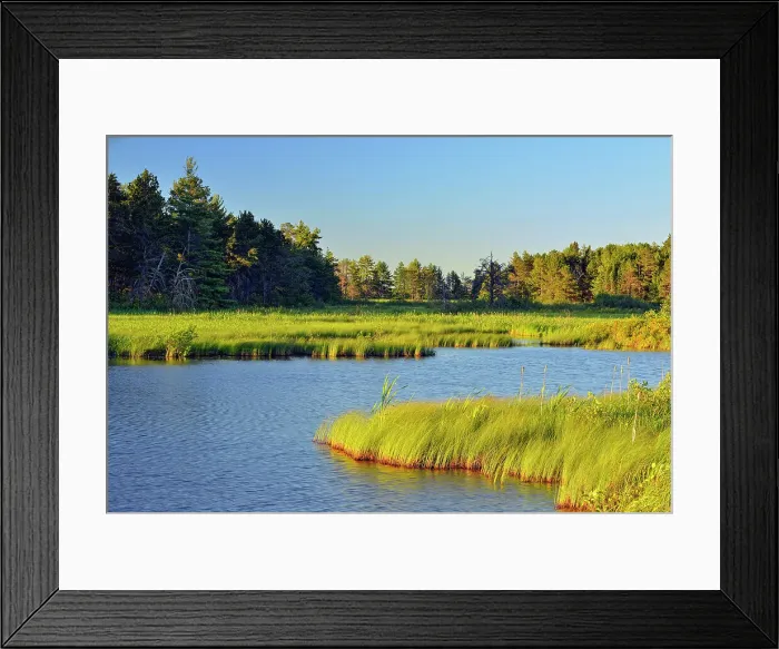 Framed Print : Seney wetlands in early summer, Seney NWR, Michigan, USA