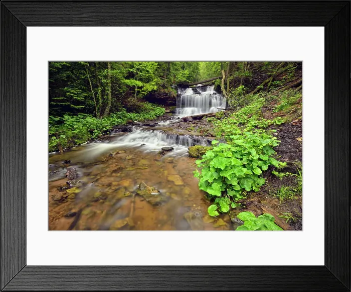 Framed Print : Wagner Falls, Wagner Falls Scenic Site, Alger County, Michigan, USA Framed Print : Wagner Falls, Wagner Falls Scenic Site, Alger County, Michigan, USA
