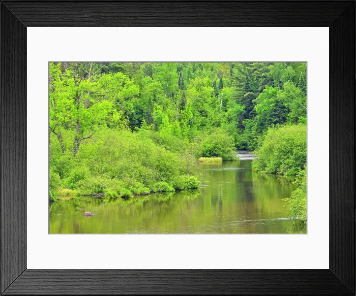 Framed Print : Namekagon River shoreline, St. Croix National Scenic Riverway, Wisconsin Minnesota state line, USA Framed Print : Namekagon River shoreline, St. Croix National Scenic Riverway, Wisconsin Minnesota state line, USA