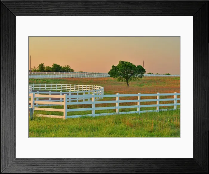 Framed Print : Cimarron Valley horse rehab centre, Stroud, Oklahoma, USA