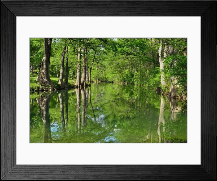 Framed Print : Onion Creek with reflected cypress trees, Hays County, Texas, USA Framed Print : Onion Creek with reflected cypress trees, Hays County, Texas, USA