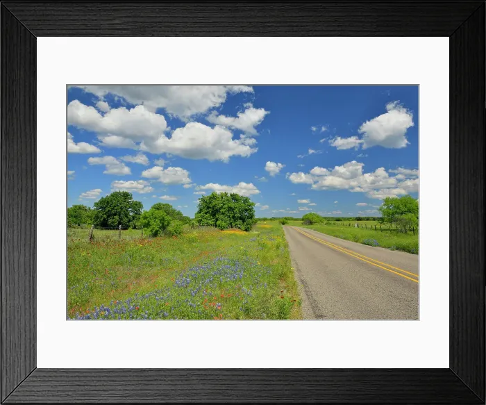 Framed Print : Wildflowers along Ranch Road 152, Llano County, Texas, USA Framed Print : Wildflowers along Ranch Road 152, Llano County, Texas, USA