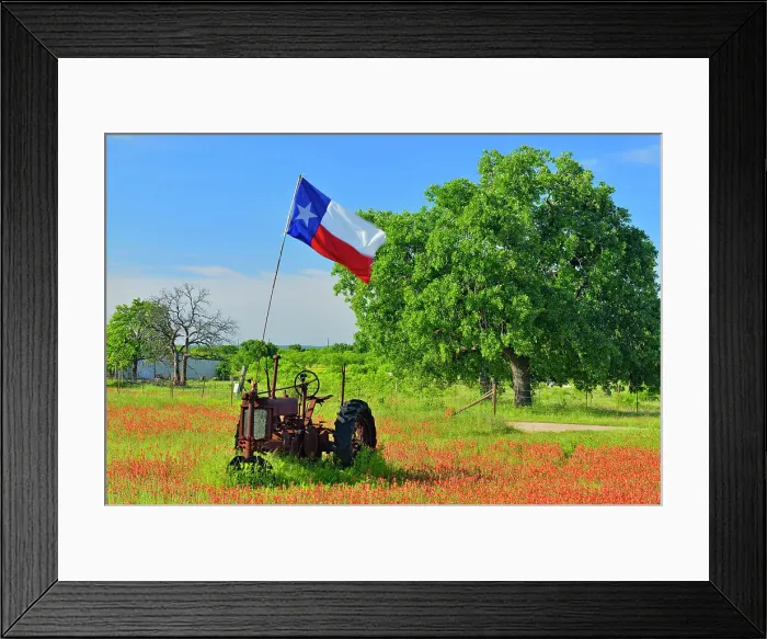 Framed Print : Texas flag on a 1935 John Deer tractor in a field of paintbrush, Burnet County, Texas, USA Framed Print : Texas flag on a 1935 John Deer tractor in a field of paintbrush, Burnet County, Texas, USA