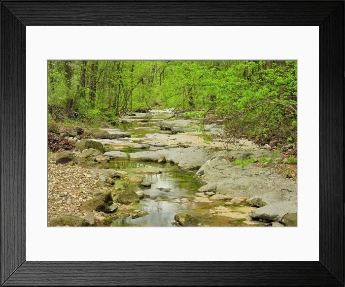 Framed Print : A small creek with low water. Buffalo National River- Lost Valley trail, Arkansas, USA Framed Print : A small creek with low water. Buffalo National River- Lost Valley trail, Arkansas, USA