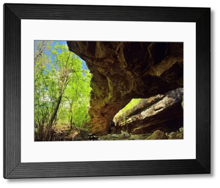 Framed Print : The Natural Bridge at Alum Cove, Buffalo National River, Arkansas, USA Framed Print : The Natural Bridge at Alum Cove, Buffalo National River, Arkansas, USA