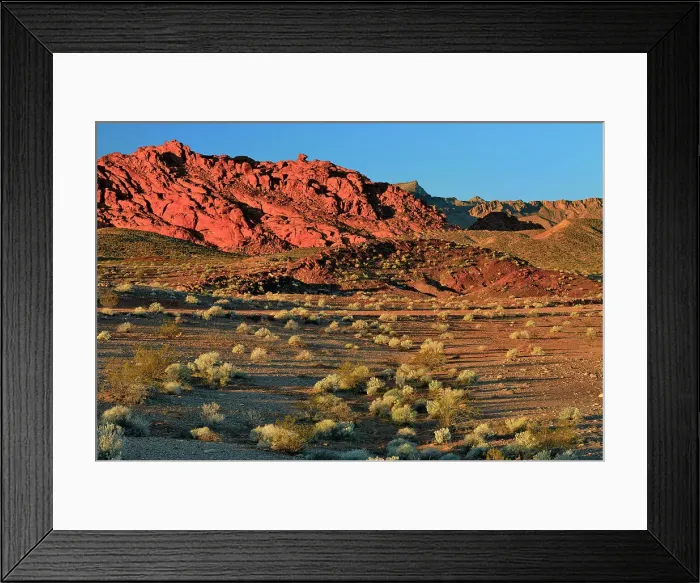 Framed Print : Rock formations and Mojave desert scrub community, Valley of Fire State Park, Nevada, USA Framed Print : Rock formations and Mojave desert scrub community, Valley of Fire State Park, Nevada, USA