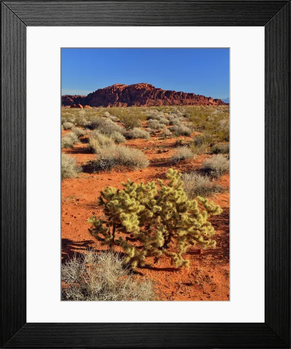 Framed Print : Rock formations and Mojave desert scrub community, Valley of Fire State Park, Nevada, USA
