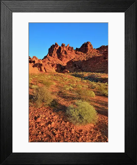 Framed Print : Rock formations and Mojave desert scrub community, Valley of Fire State Park, Nevada, USA