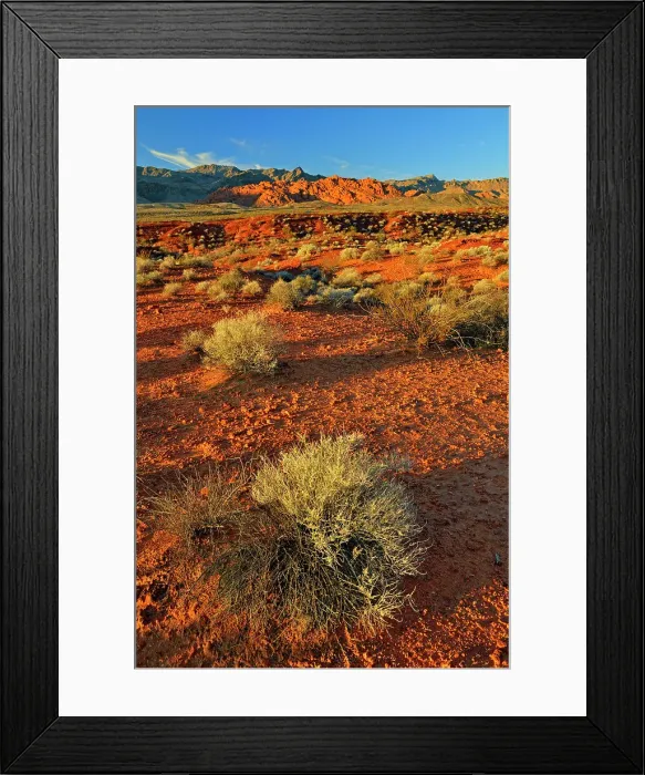 Framed Print : Rock formations and Mojave desert scrub community, Valley of Fire State Park, Nevada, USA Framed Print : Rock formations and Mojave desert scrub community, Valley of Fire State Park, Nevada, USA