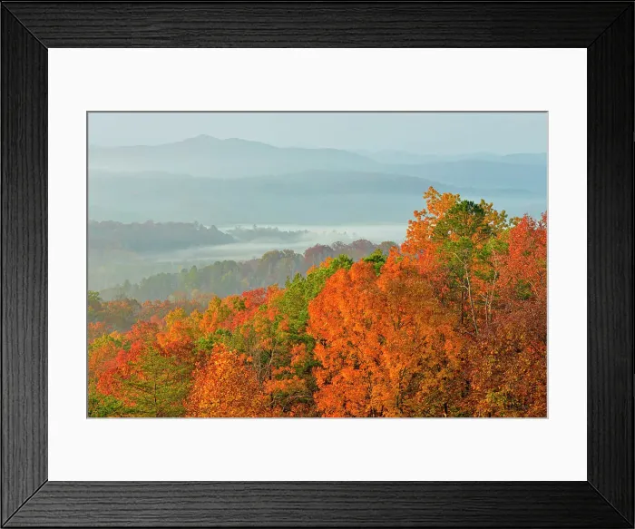 Framed Print : Autumn trees and morning mists in the valley, from the Foothills Parkway, Great Smoky Mtn Nat Park, Tennessee, USA Framed Print : Autumn trees and morning mists in the valley, from the Foothills Parkway, Great Smoky Mtn Nat Park, Tennessee, USA