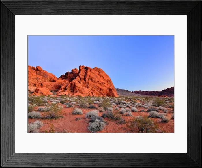 Framed Print : Rock formations and Mojave desert scrub community, Valley of Fire State Park, Nevada, USA Framed Print : Rock formations and Mojave desert scrub community, Valley of Fire State Park, Nevada, USA