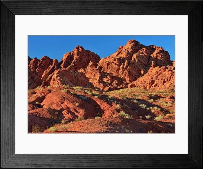 Framed Print : Rock formations and Mojave desert scrub community, Valley of Fire State Park, Nevada, USA Framed Print : Rock formations and Mojave desert scrub community, Valley of Fire State Park, Nevada, USA