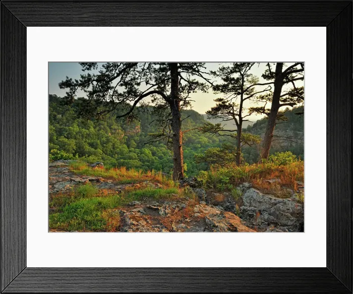 Framed Print : Rocks and forest overlooking Cedar Creek Canyon, Petit Jean State Park, Arkansas, USA Framed Print : Rocks and forest overlooking Cedar Creek Canyon, Petit Jean State Park, Arkansas, USA