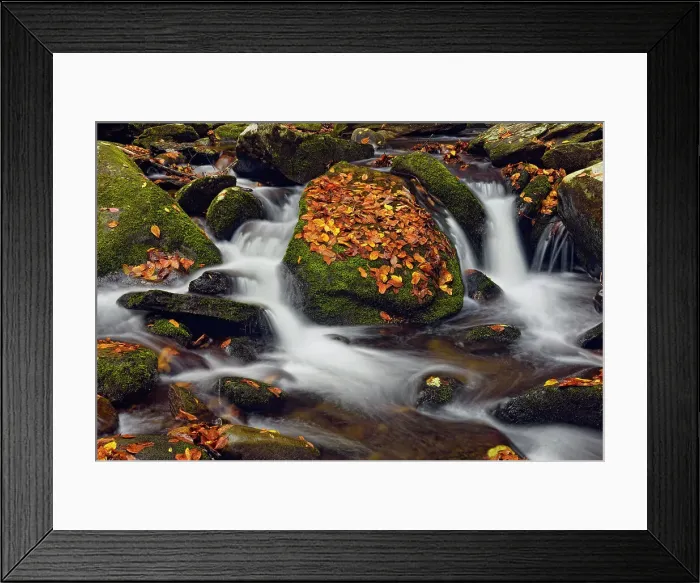 Framed Print : Great Smoky Mountains NP, North Carolina, USA