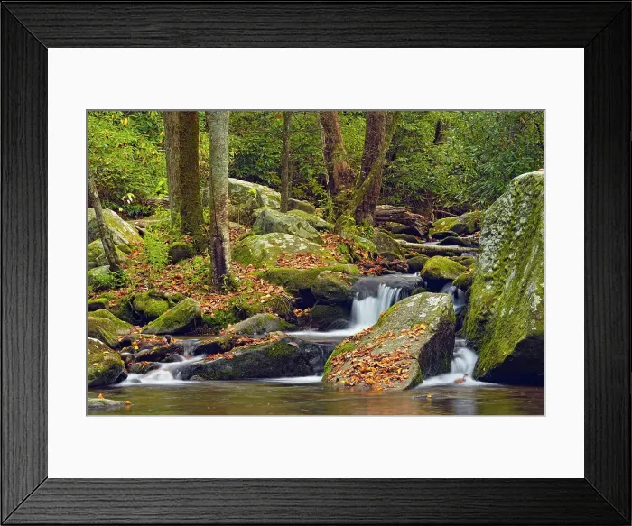 Framed Print : Autumn foliage around Big Creek, Great Smoky Mountains NP, Tennessee, USA Framed Print : Autumn foliage around Big Creek, Great Smoky Mountains NP, Tennessee, USA