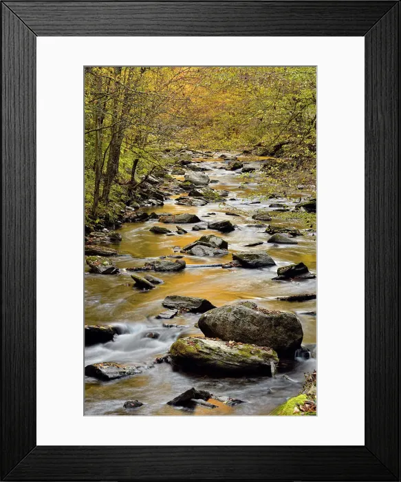 Framed Print : Autumn foliage reflected in the Middle Prong of the Little River at Tremont, Great Smoky Mountains NP, Tennessee, USA Framed Print : Autumn foliage reflected in the Middle Prong of the Little River at Tremont, Great Smoky Mountains NP, Tennessee, USA