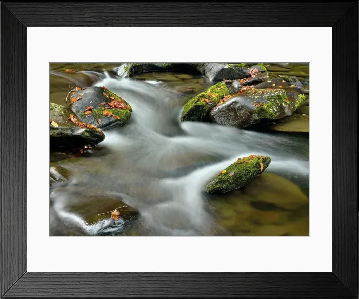 Framed Print : Great Smoky Mountains NP, Tennessee, USA Framed Print : Great Smoky Mountains NP, Tennessee, USA