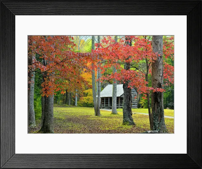 Framed Print : The Carter Shields Cabin in Cades Cove in autumn, Great Smoky Mountains NP, Tennessee, USA Framed Print : The Carter Shields Cabin in Cades Cove in autumn, Great Smoky Mountains NP, Tennessee, USA