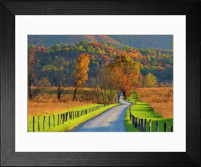 Framed Print : Autumn colour in Cades Cove- Hyatt Lane, Great Smoky Mountains NP, Tennessee, USA Framed Print : Autumn colour in Cades Cove- Hyatt Lane, Great Smoky Mountains NP, Tennessee, USA