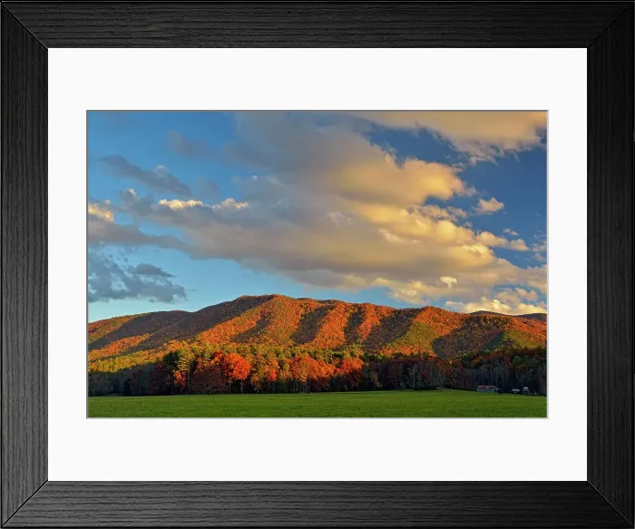 Framed Print : Autumn colour in Cades Cove, Great Smoky Mountains NP, Tennessee, USA Framed Print : Autumn colour in Cades Cove, Great Smoky Mountains NP, Tennessee, USA