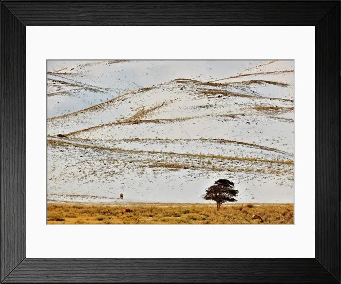 Framed Print : Landforms and lone tree around the North Entrance to Yellowstone, near Gardiner, Yellowstone NP, Mammoth Hot Springs, Wyoming, USA Framed Print : Landforms and lone tree around the North Entrance to Yellowstone, near Gardiner, Yellowstone NP, Mammoth Hot Springs, Wyoming, USA