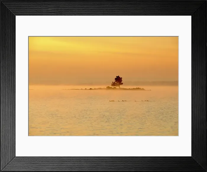 Framed Print : Yellowstone Lake at sunrise, Yellowstone NP, Wyoming, USA Framed Print : Yellowstone Lake at sunrise, Yellowstone NP, Wyoming, USA
