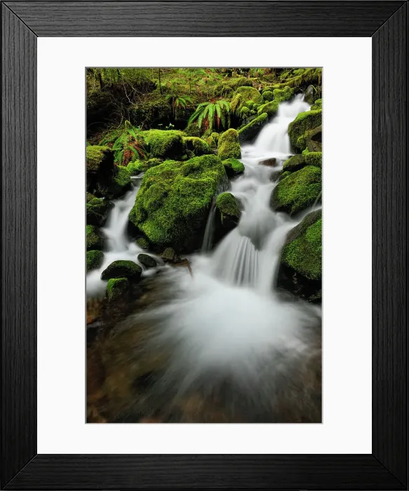 Framed Print : Waterfalls and mossy cascades in a stream along the trail to Sol Duc Falls, Olympic NP (Sol Duc unit), Washington, USA Framed Print : Waterfalls and mossy cascades in a stream along the trail to Sol Duc Falls, Olympic NP (Sol Duc unit), Washington, USA