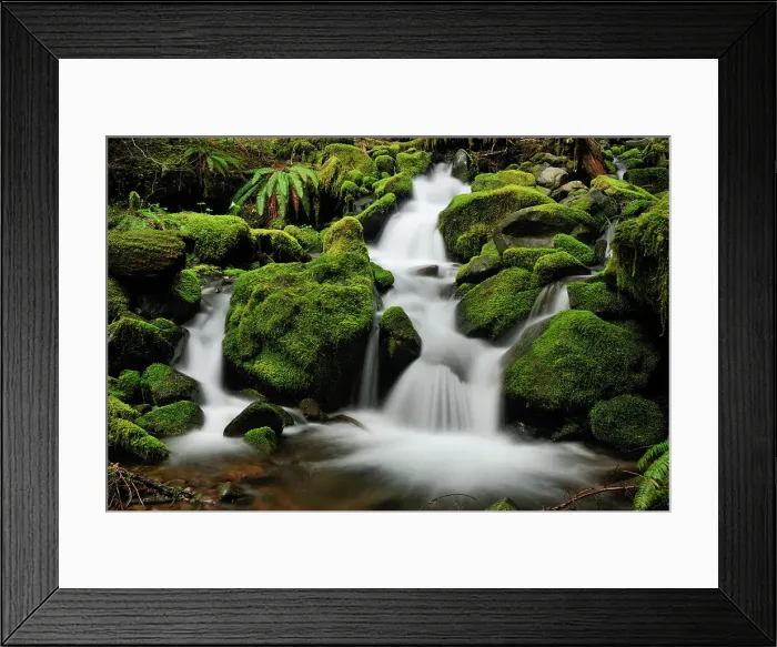 Framed Print : Waterfalls and mossy cascades in a stream along the trail to Sol Duc Falls, Olympic NP (Sol Duc unit), Washington, USA Framed Print : Waterfalls and mossy cascades in a stream along the trail to Sol Duc Falls, Olympic NP (Sol Duc unit), Washington, USA