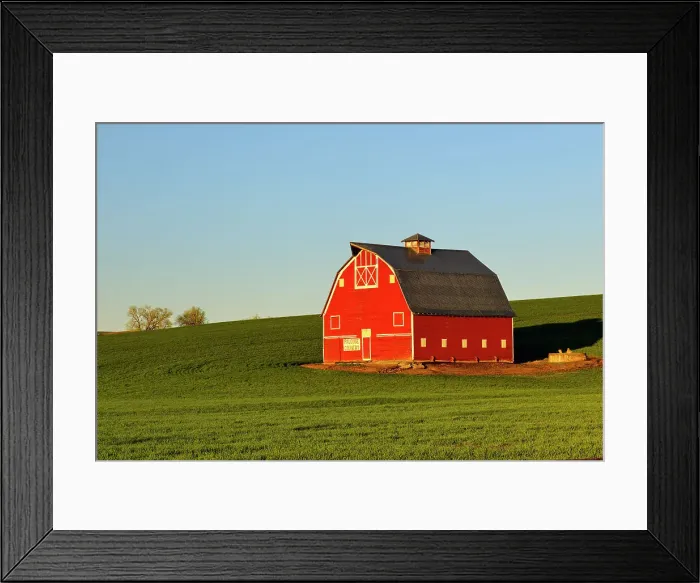 Framed Print : A red barn in the Palouse farmland in spring, Uniontown, Washington, USA Framed Print : A red barn in the Palouse farmland in spring, Uniontown, Washington, USA