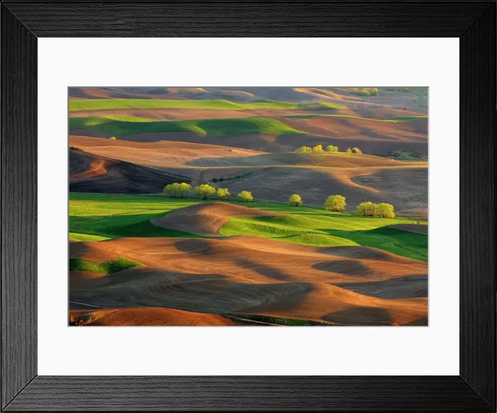 Framed Print : Palouse farmland in evening light in springtime, Steptoe Butte State Park, Washington, USA Framed Print : Palouse farmland in evening light in springtime, Steptoe Butte State Park, Washington, USA