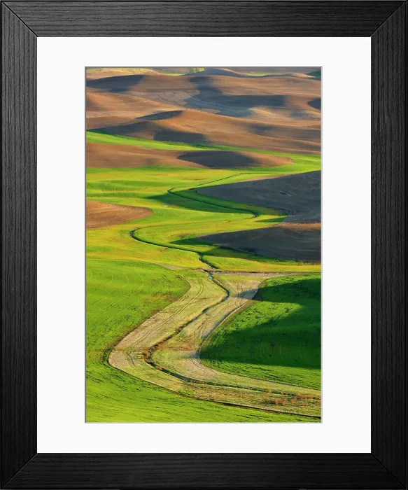 Framed Print : Palouse farmland in evening light in springtime, Steptoe Butte State Park, Washington, USA Framed Print : Palouse farmland in evening light in springtime, Steptoe Butte State Park, Washington, USA