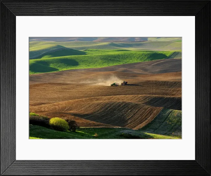 Framed Print : Palouse farmland in evening light in springtime, Steptoe Butte State Park, Washington, USA Framed Print : Palouse farmland in evening light in springtime, Steptoe Butte State Park, Washington, USA