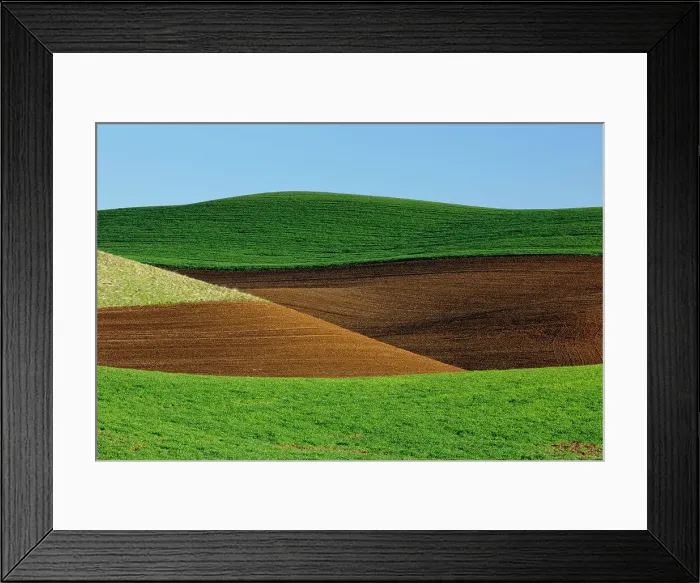Framed Print : Palouse farmland in spring, near Palouse, Washington, USA