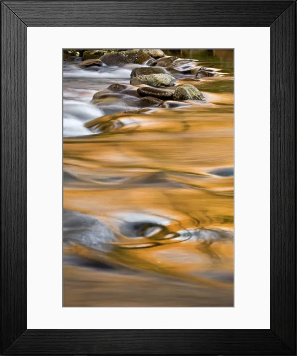 Framed Print : Evening reflections in the Little River, Great Smoky Mountains National Park, Tennessee, USA Framed Print : Evening reflections in the Little River, Great Smoky Mountains National Park, Tennessee, USA
