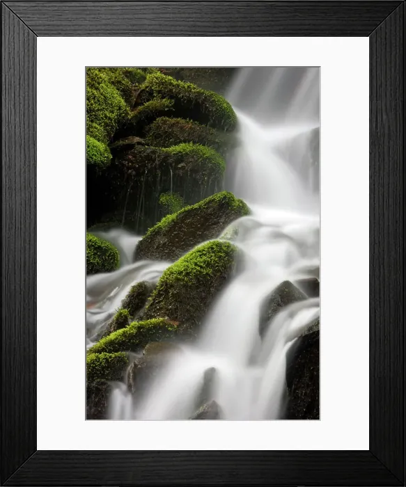 Framed Print : Mossy cascade in tributary of Middle Prong of Little River, Great Smoky Mountains National Park, Tennessee, USA Framed Print : Mossy cascade in tributary of Middle Prong of Little River, Great Smoky Mountains National Park, Tennessee, USA