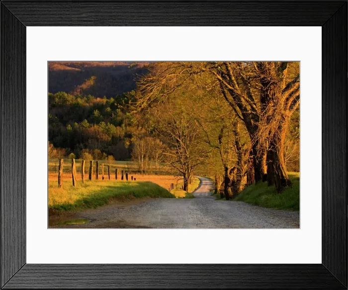 Framed Print : Hyatt Lane, Great Smoky Mountains National Park, Tennessee, USA Framed Print : Hyatt Lane, Great Smoky Mountains National Park, Tennessee, USA