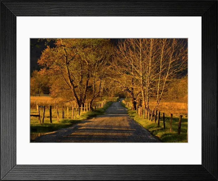 Framed Print : Sparks Lane at dawn, Great Smoky Mountains National Park, Tennessee, USA Framed Print : Sparks Lane at dawn, Great Smoky Mountains National Park, Tennessee, USA