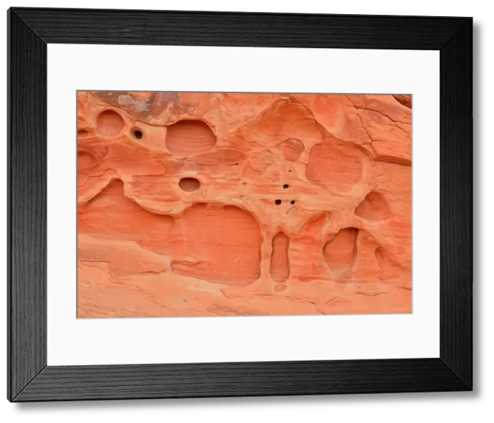 Framed Print : Weathered red rock formations in the desert, Valley of Fire State Park, Nevada, USA Framed Print : Weathered red rock formations in the desert, Valley of Fire State Park, Nevada, USA